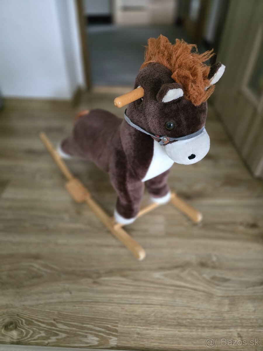 Hojdaci konik