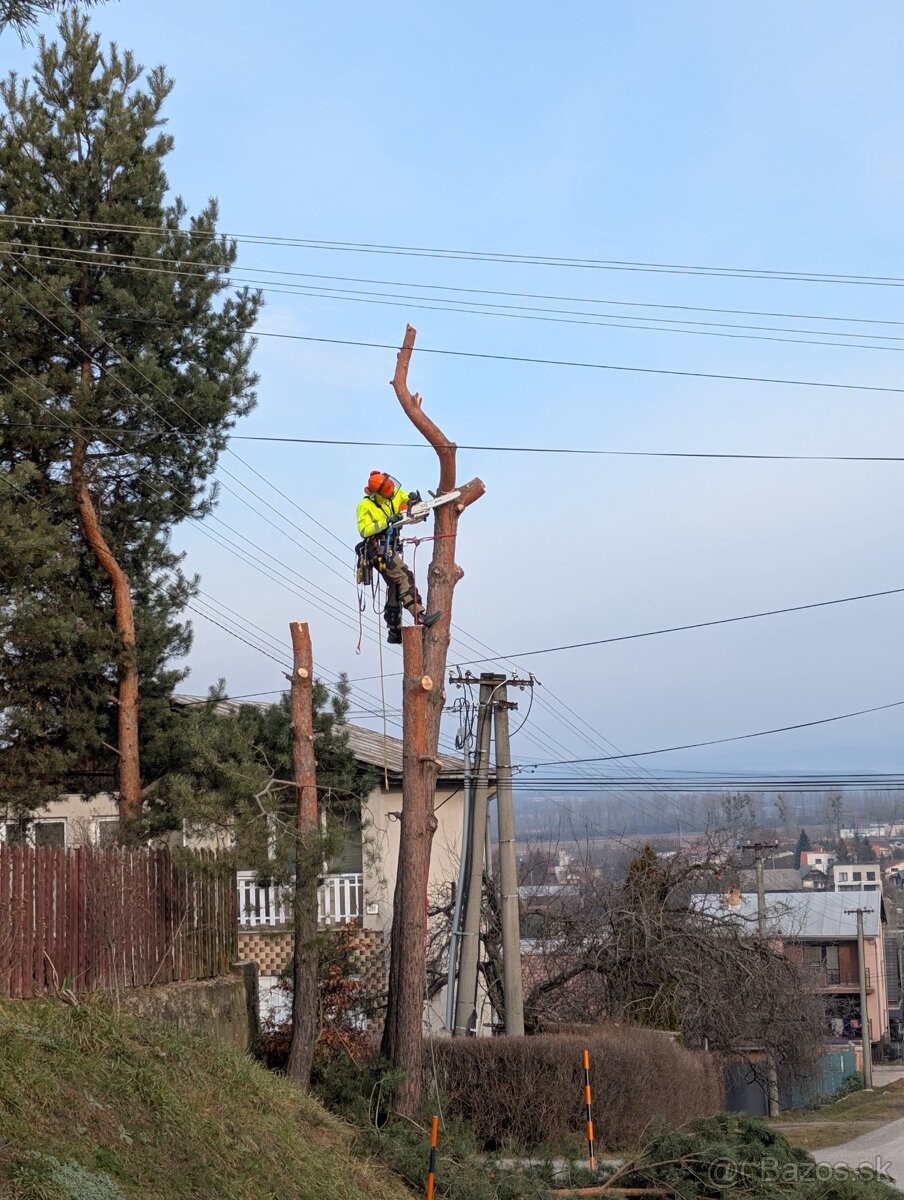 Rizikový výrub a orez stromov, kosenie a údržba pozemkov