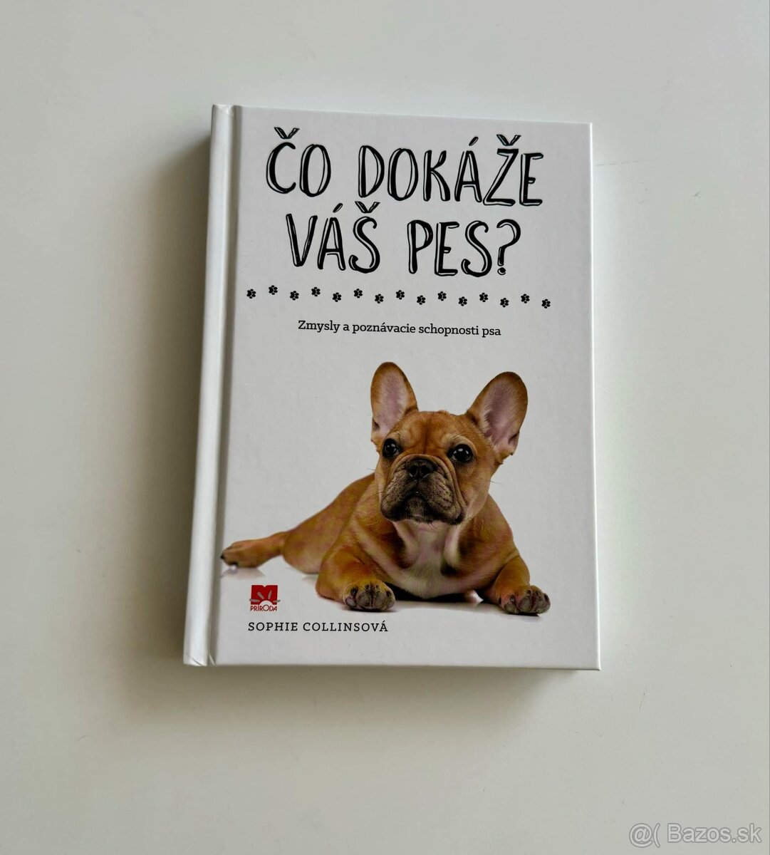 Čo dokáže váš pes ?