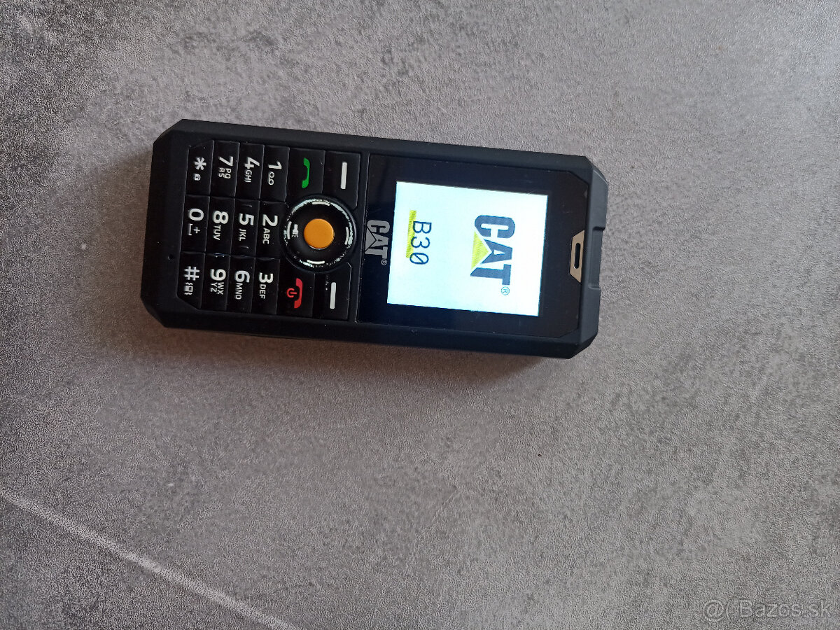 CAT B30
