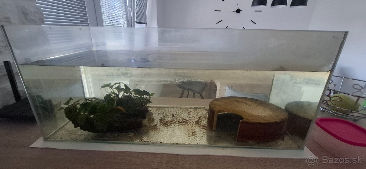 Ponukam akvarium