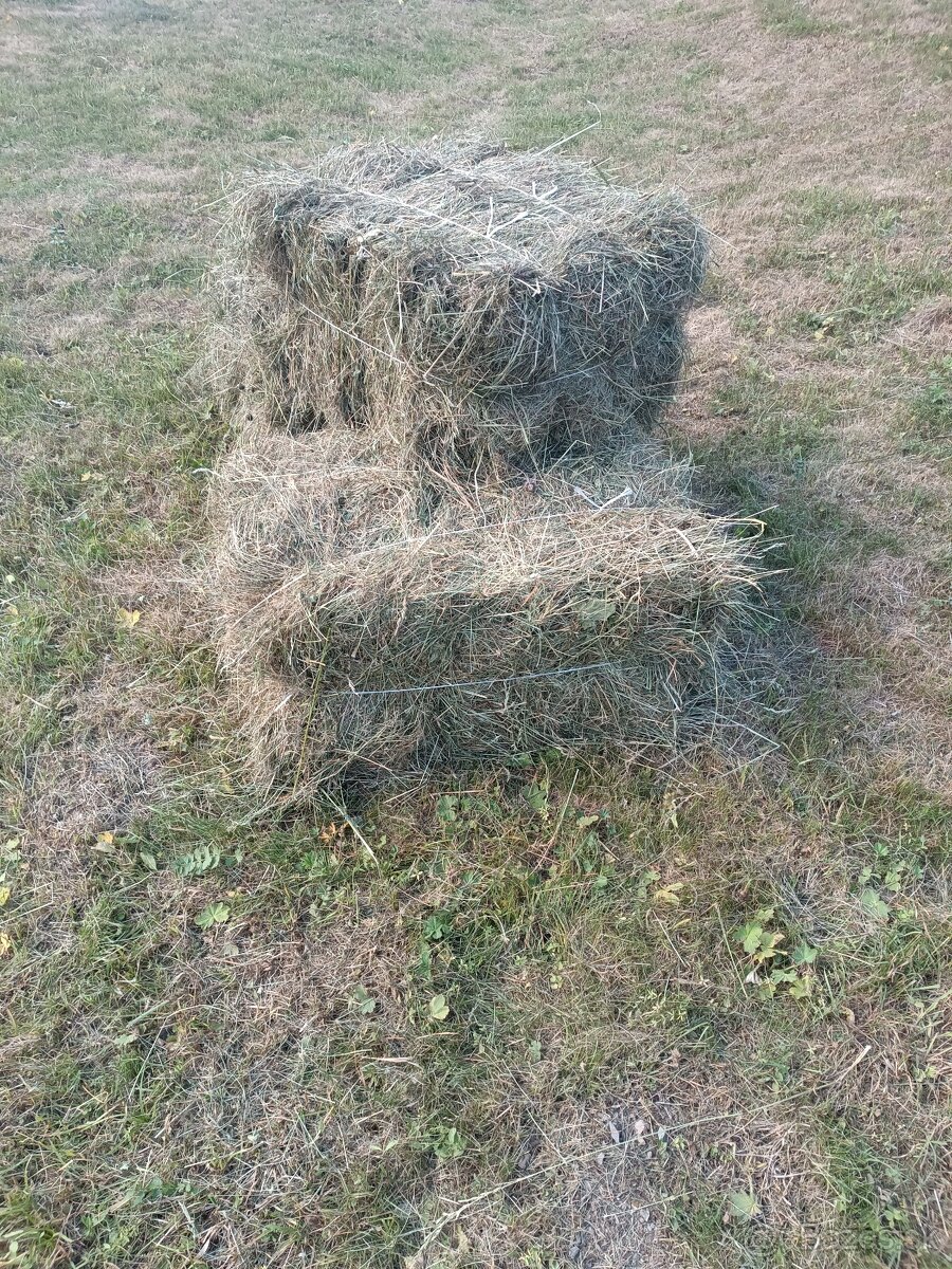 Balíky sena