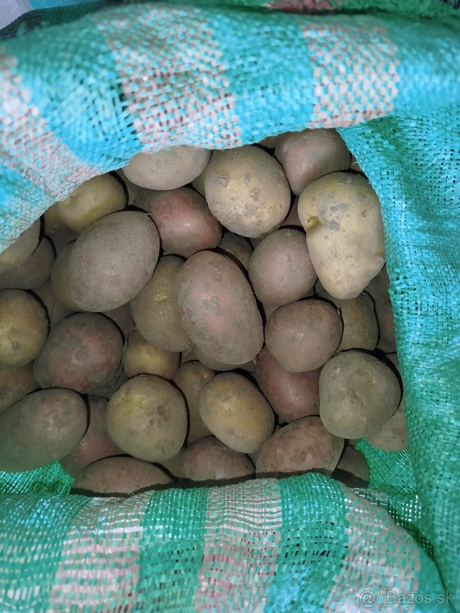 Sadienka, sadzbové zemiaky