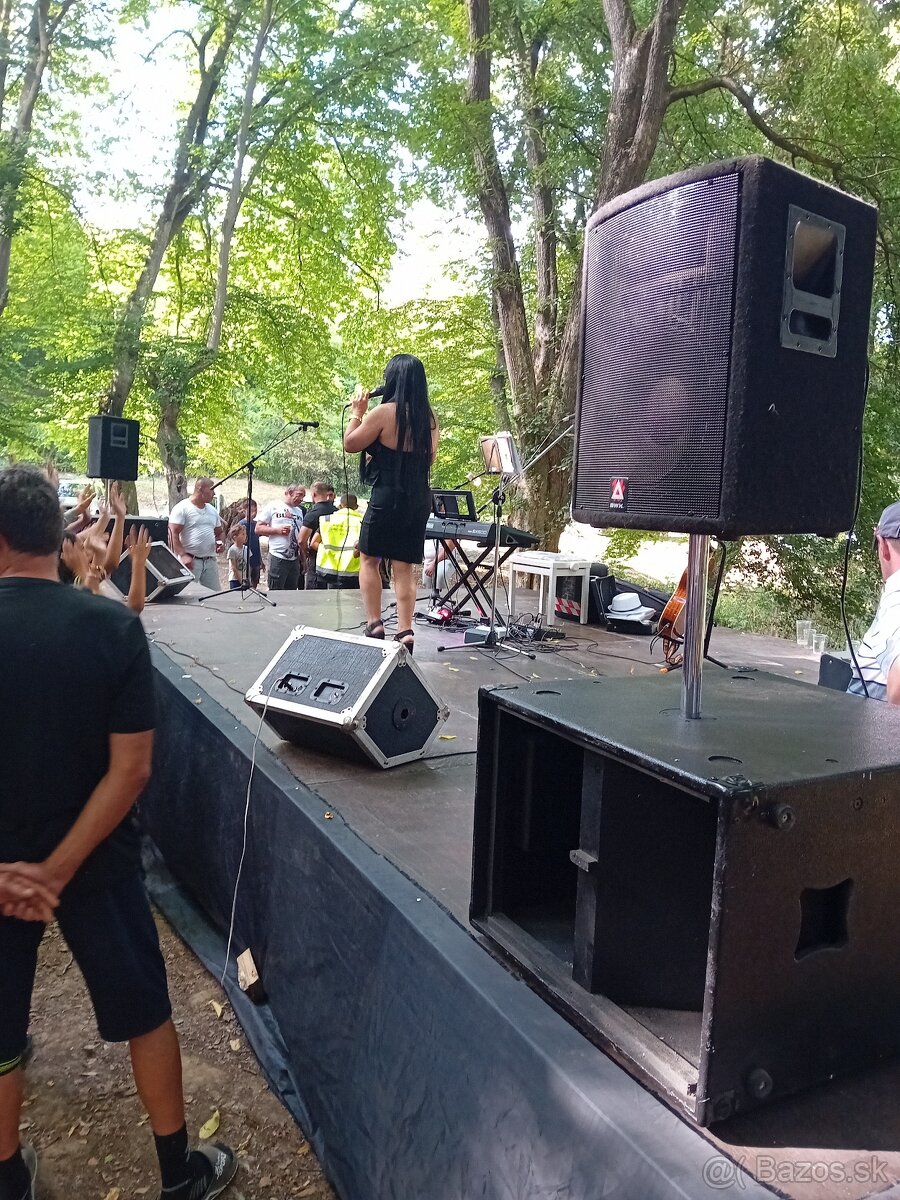 Sub basy 18 zoll 8 ohm 1200 w