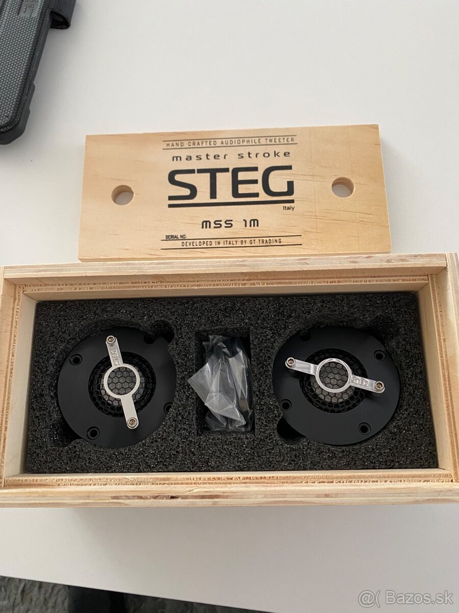 Steg mss1M
