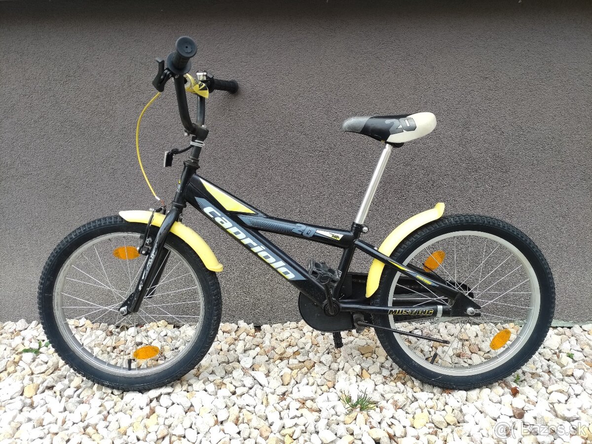 Bicykel do 15 rokov - 20 palcový