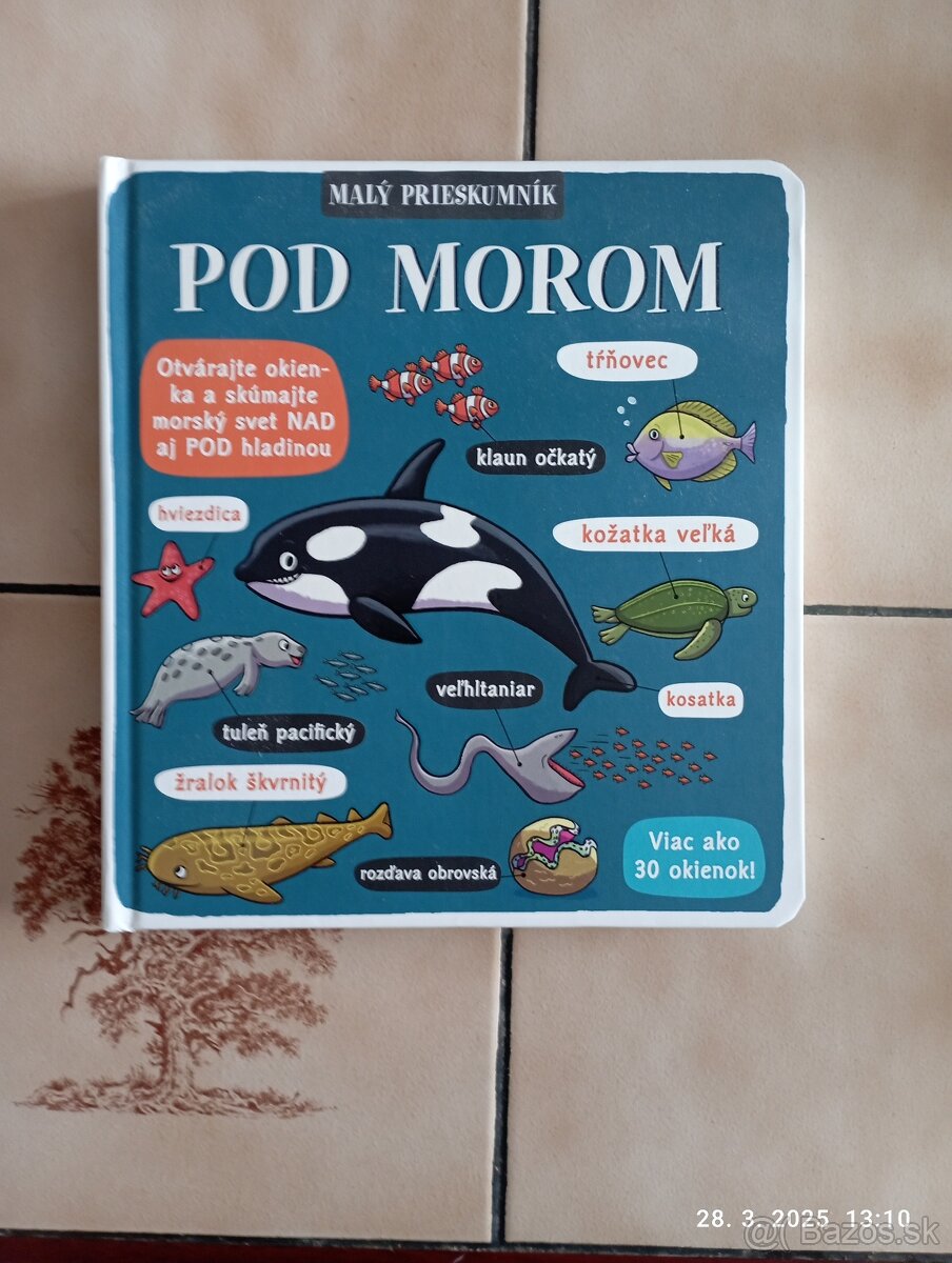 Pod morom - Malý prieskumnik