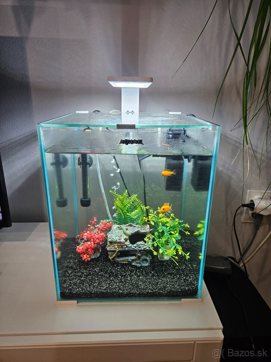 Predám akvárium