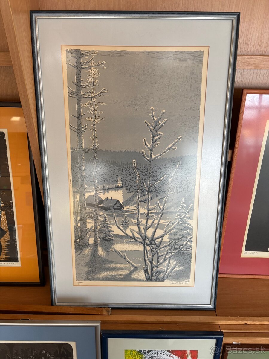 Ladislav Boťanský - Zima