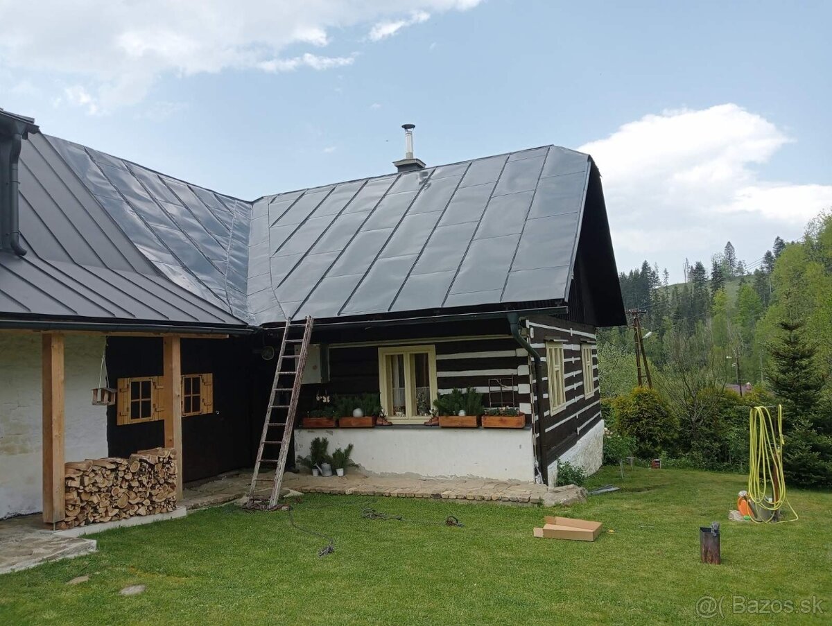 ✅️✅️✅️natieranie striech nátery maľovanie N30