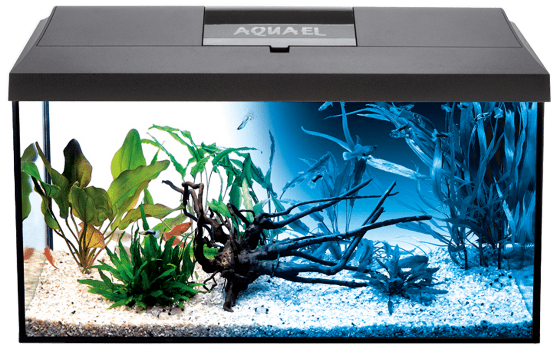 Akvarium
