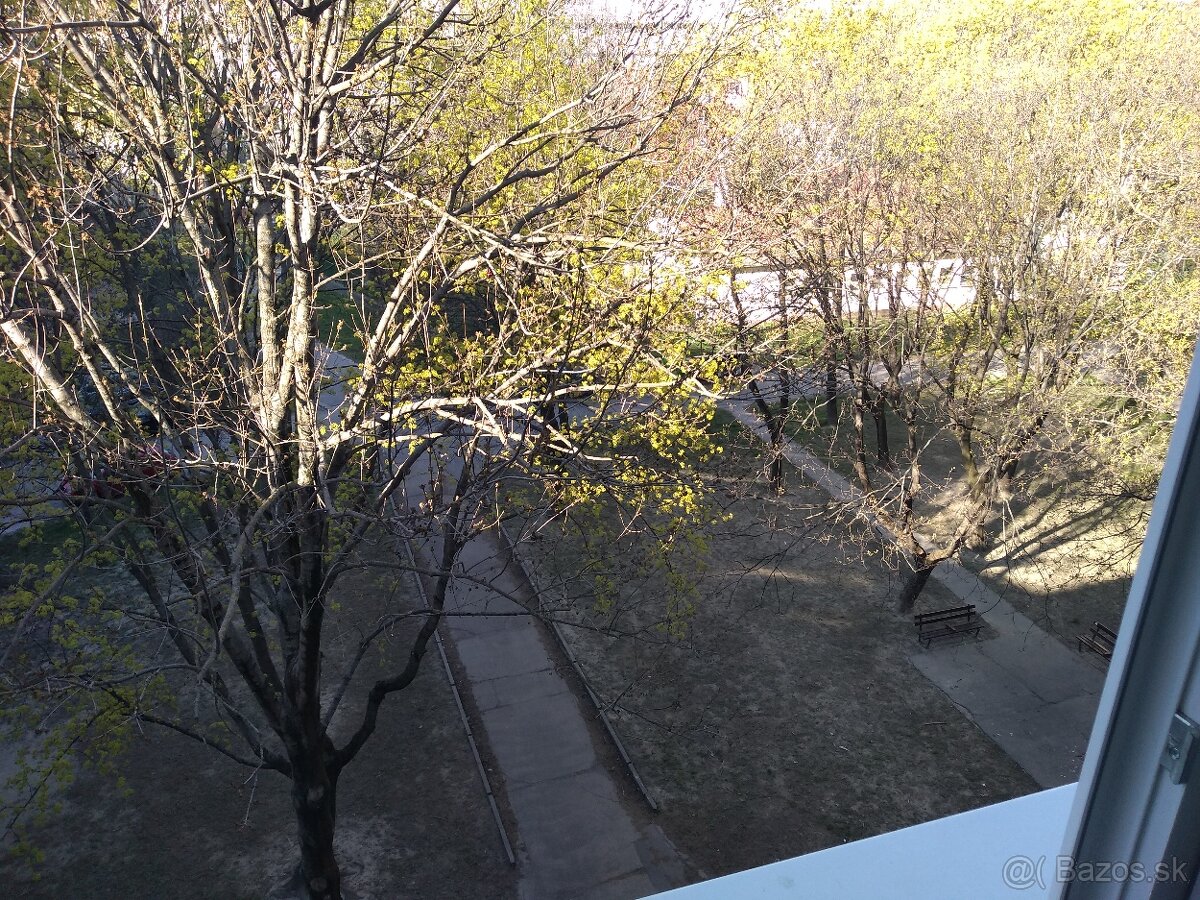 Prenajmem 1 izbu