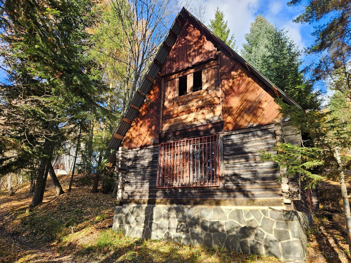 Predam chatu s pozemkom 1978m2 Drienica