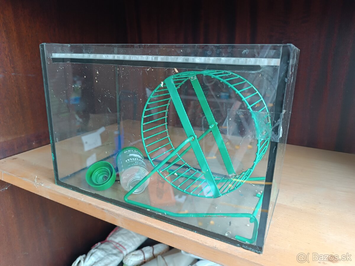 Terarium