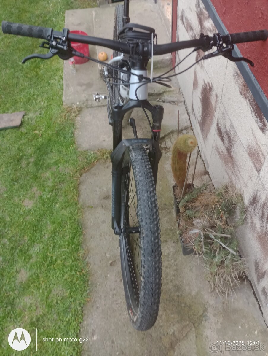 Trek Pro Caliber 29 L