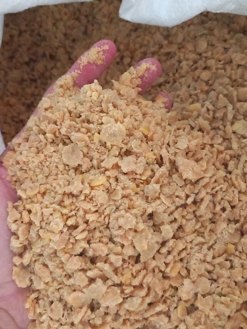 Extrudovana soja