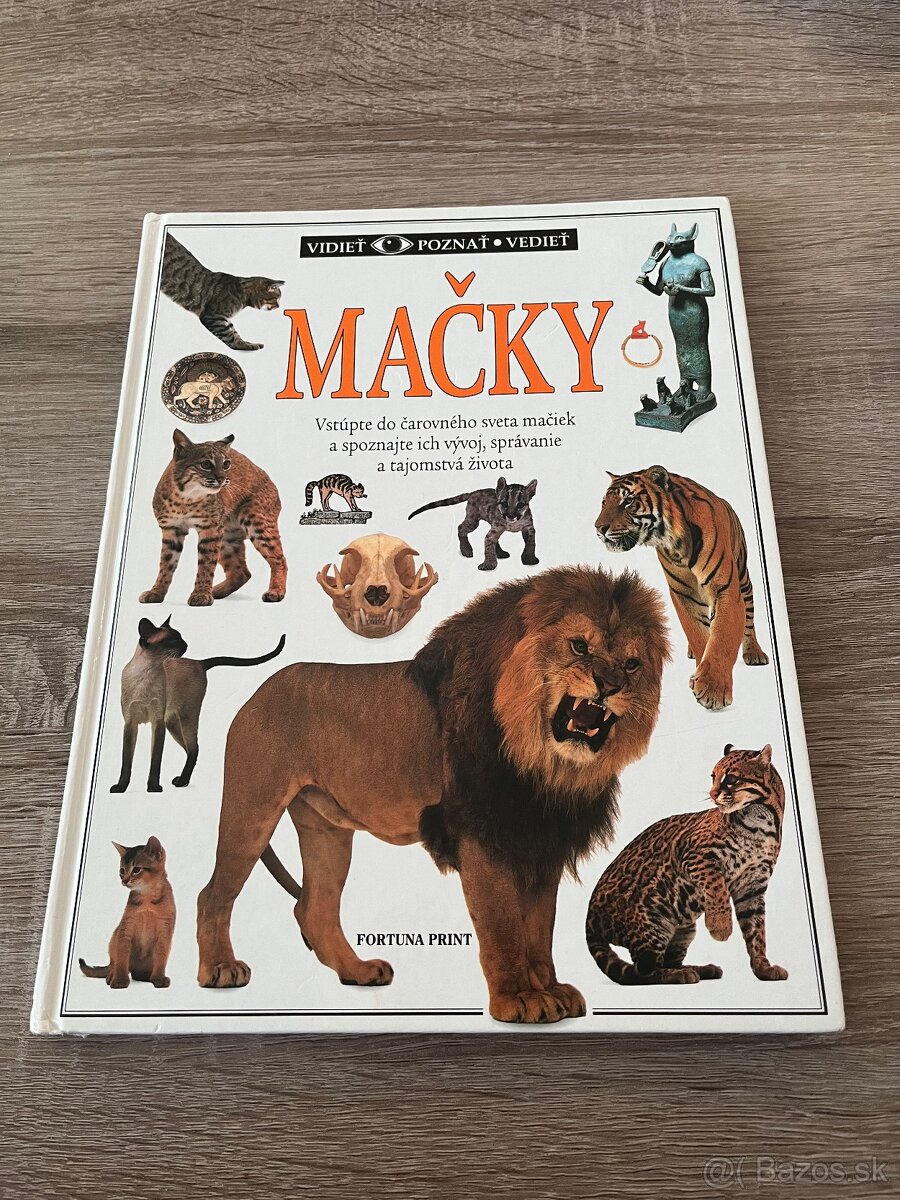 Vidieť poznat vedieť Mačky