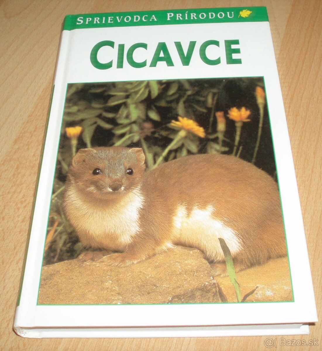 Cicavce
