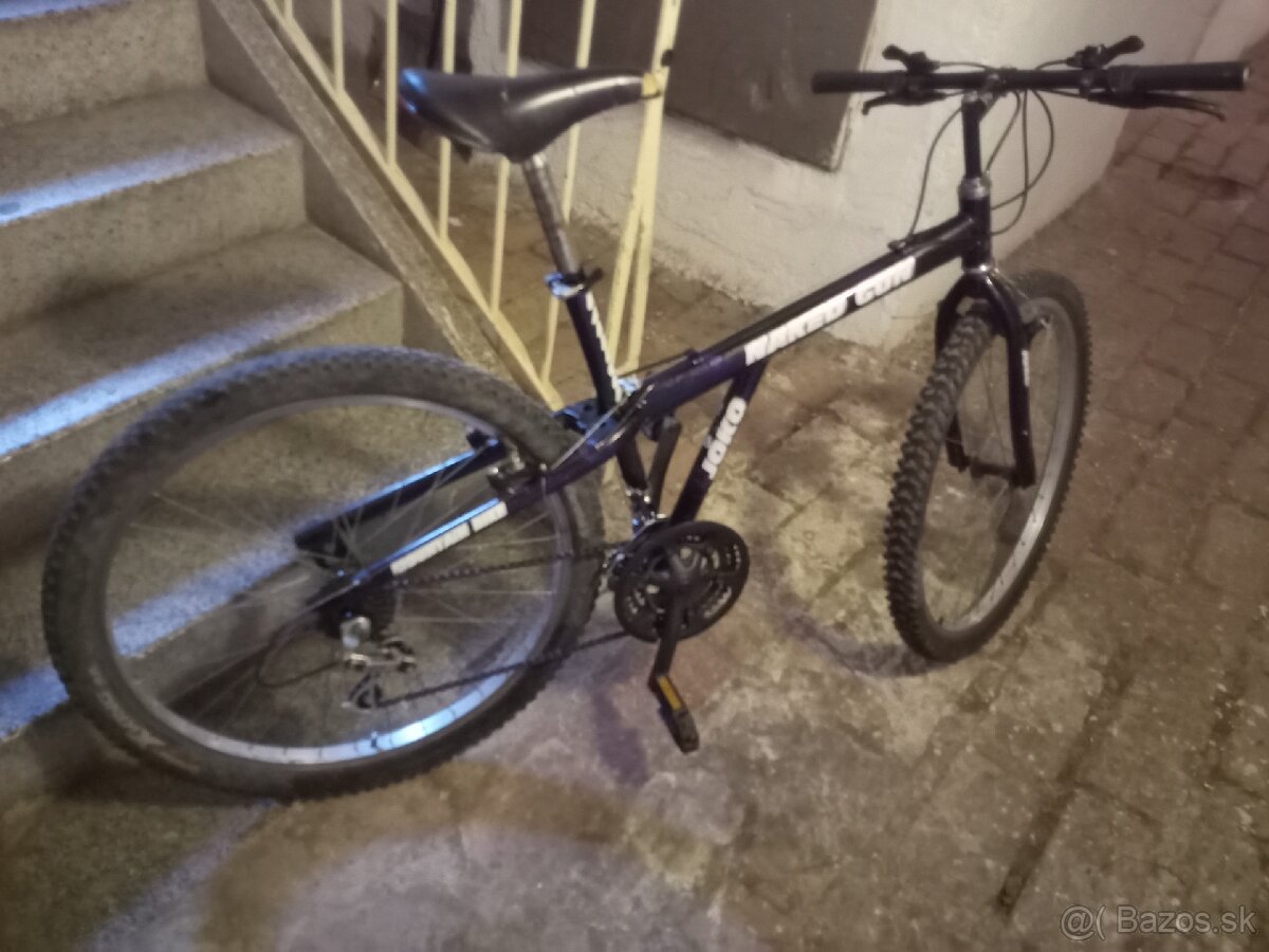 Bicykel