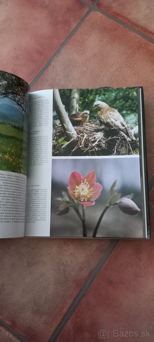 BLEKK FRAJDEJ :D Krásy a vzácnosti sk prírody... pošt v cene