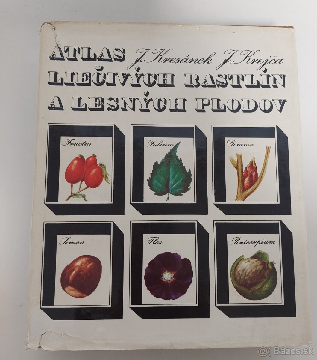 Atlas liecivych rastlin a lesnych plodov