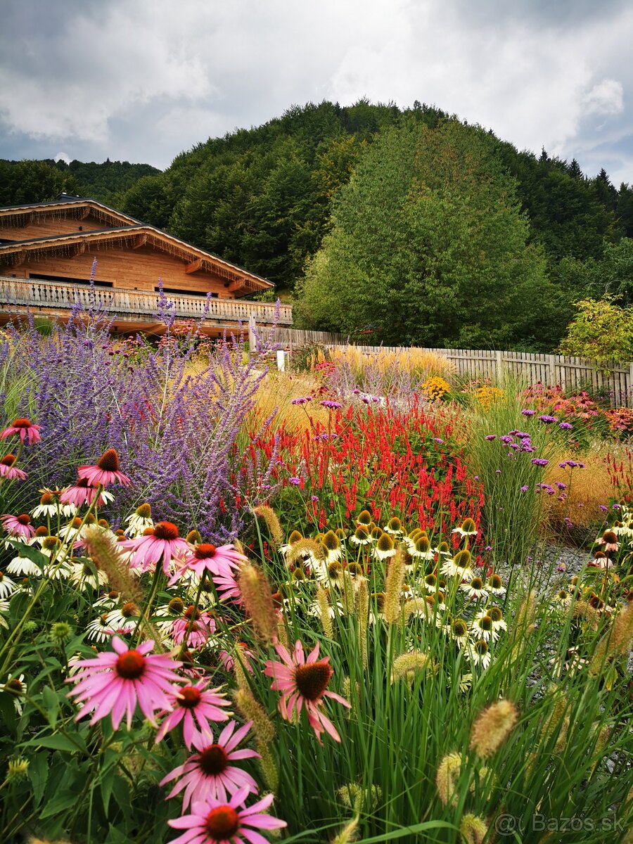 ✨ GREENMAMBA GARDEN – záhrady, do ktorých sa budete chcieť v