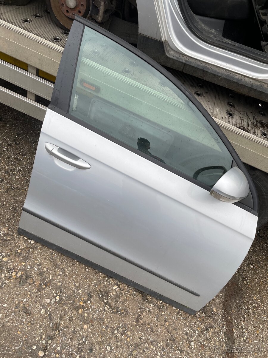 Dvere Passat b6