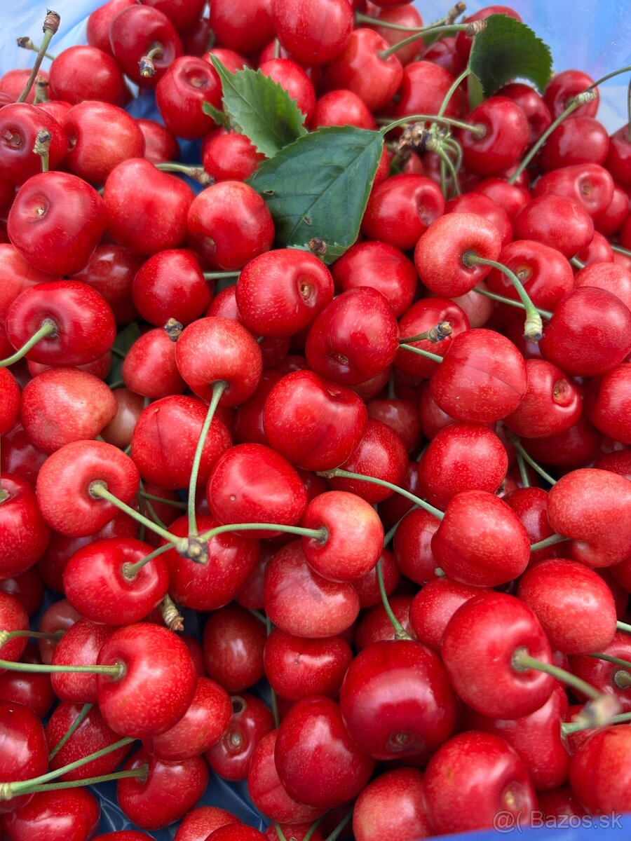 čerešne