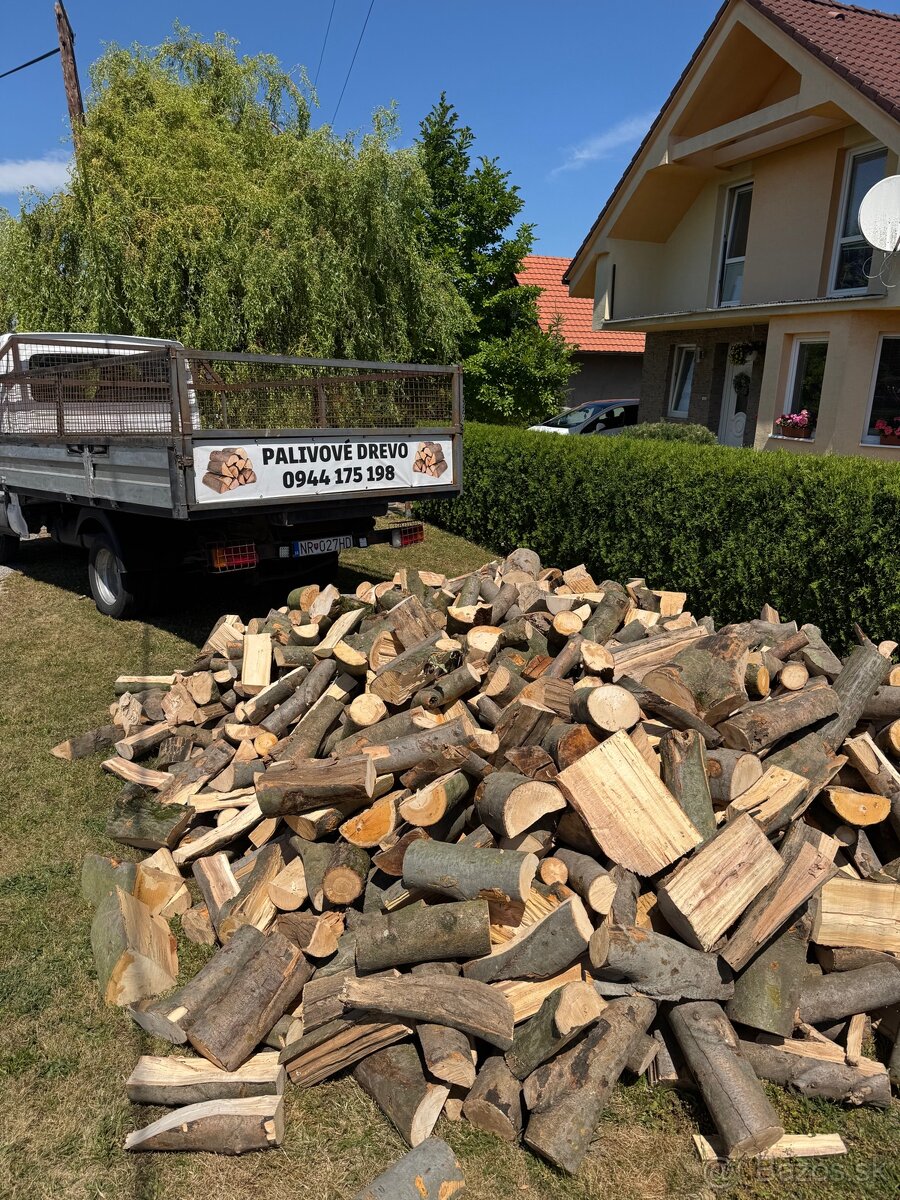 ✅✅PALIVOVÉ DREVO ✅✅