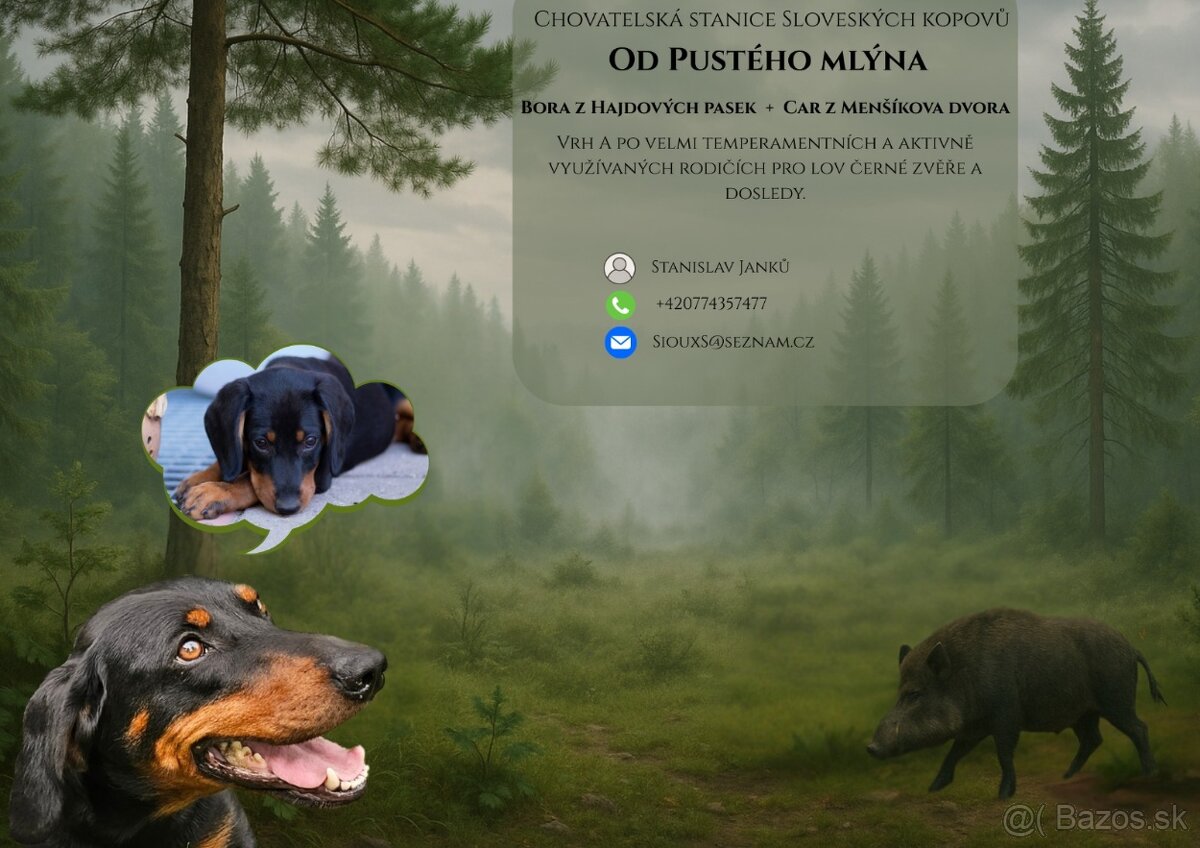 Slovenský kopov