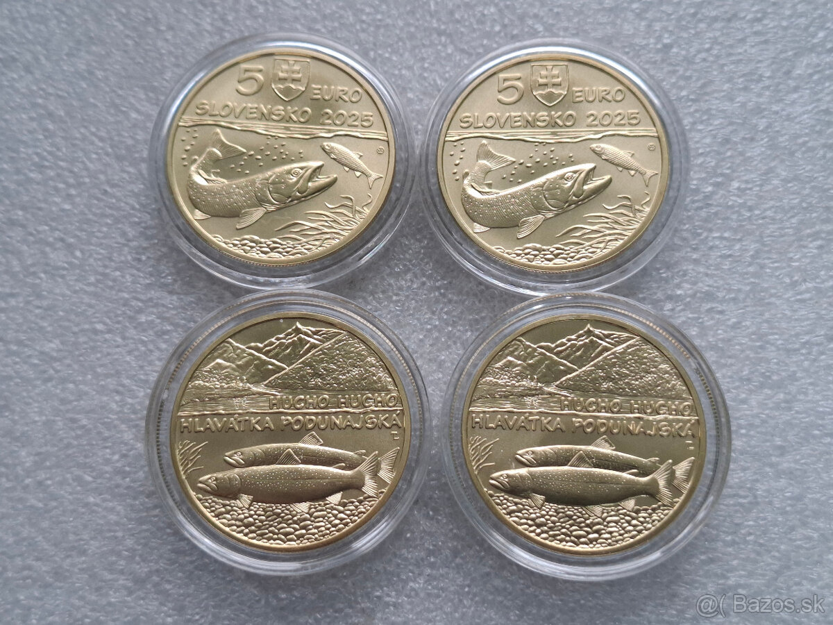 Zberatelska minca 5 Euro 2025 Hlavatka