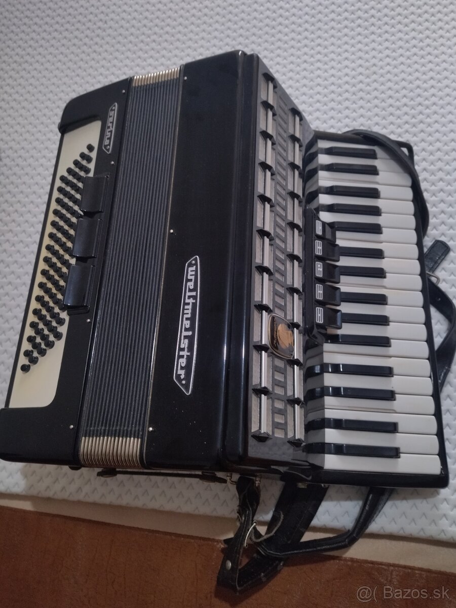 Akordeon weltmeister Serino