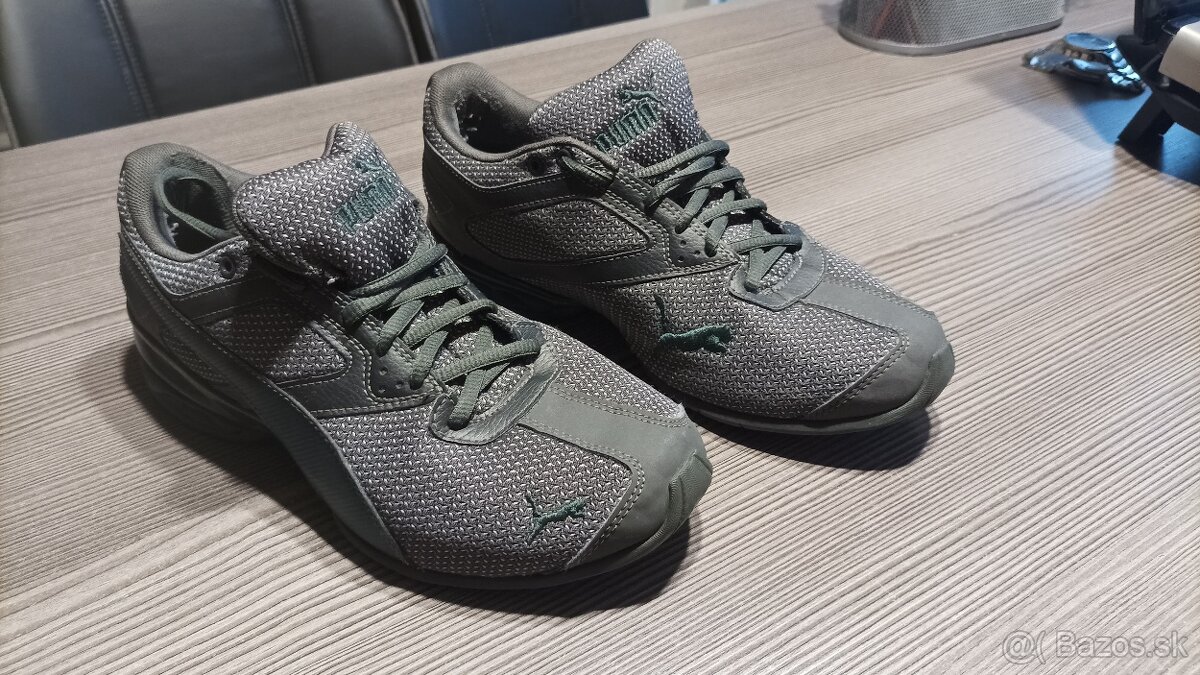 Puma Tazon