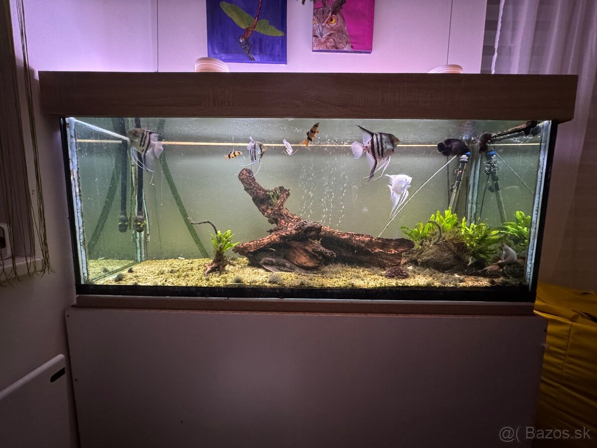 Akvárium 450l komplet