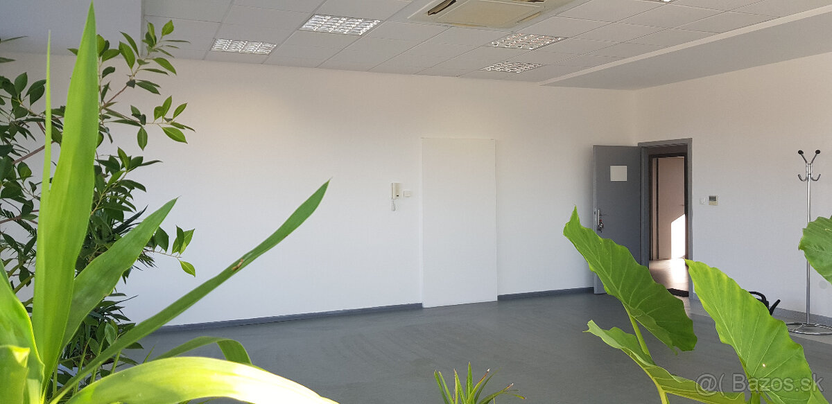 Prenajmem 60m2 kancelárske priestory pri R1 v Nitre.