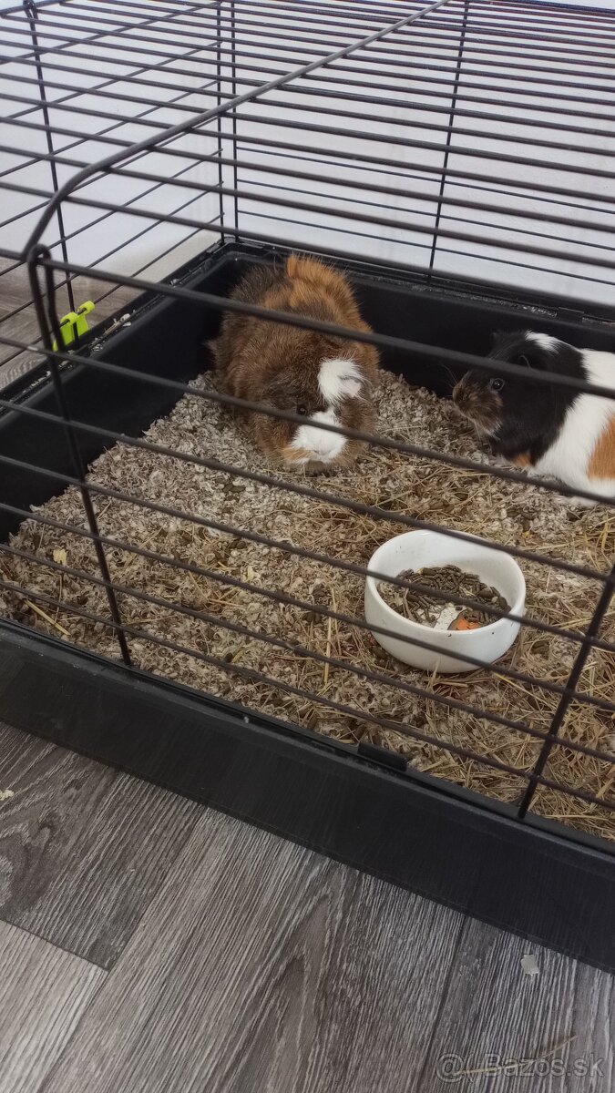 Klietka pre morča alebo králika