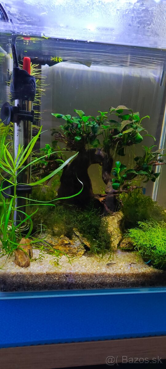 Akvarium 25x25x30cm s prislusenstvom