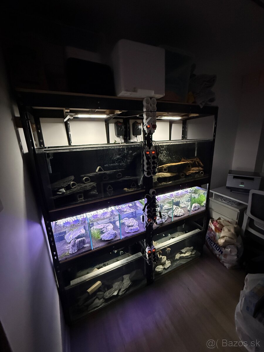 Regály s akváriami, technikou a rybičkami