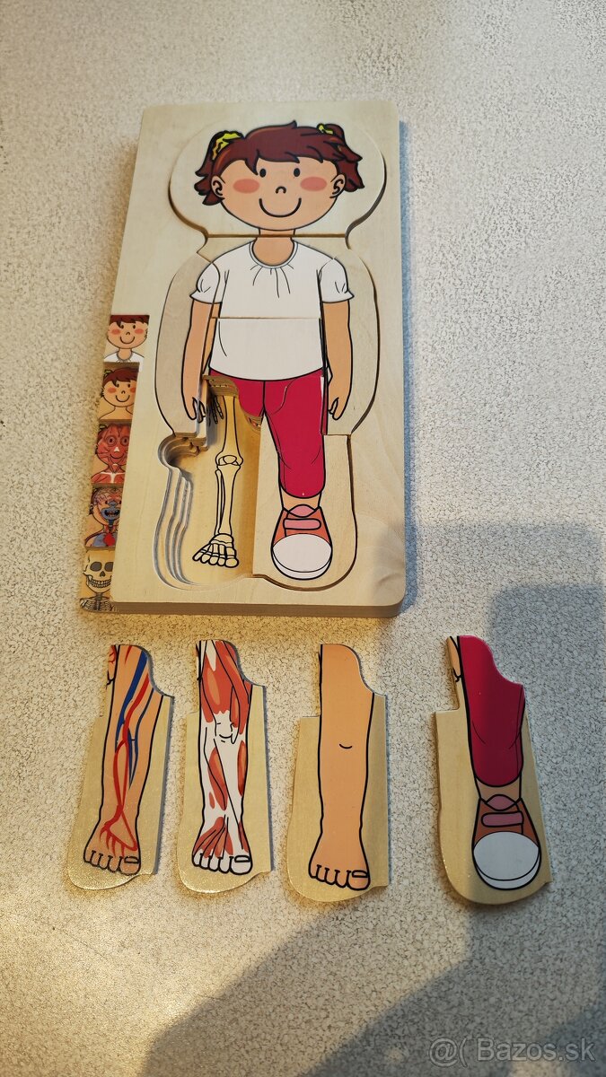 Detská anatómia - puzzle