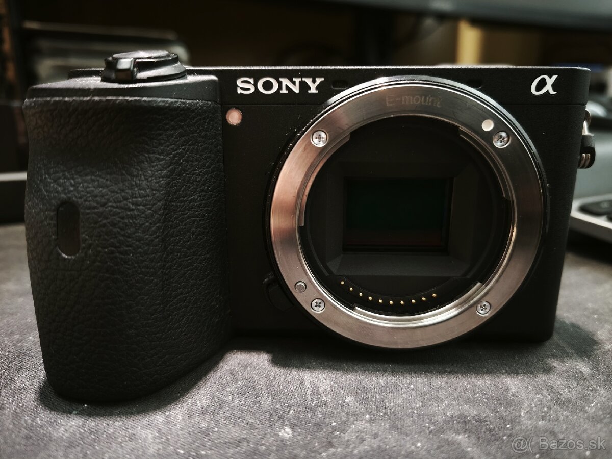 Sony A 6600