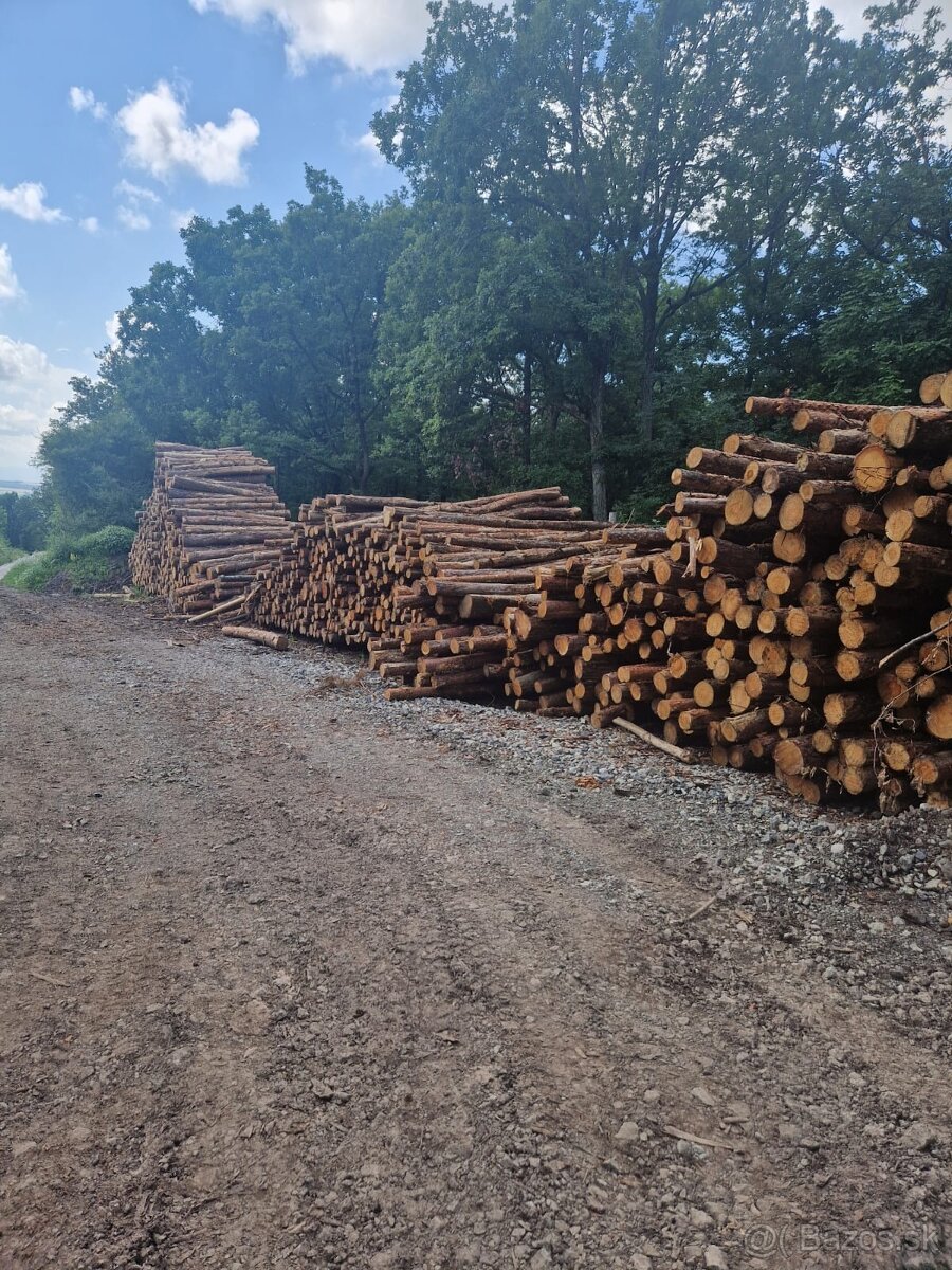 Dubové drevo_Vykurovanie_Predaj_Doprava_19112025