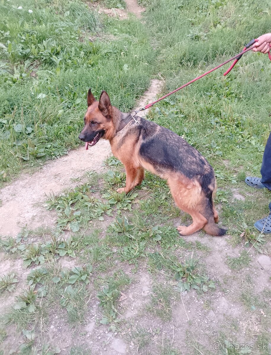Na predaj