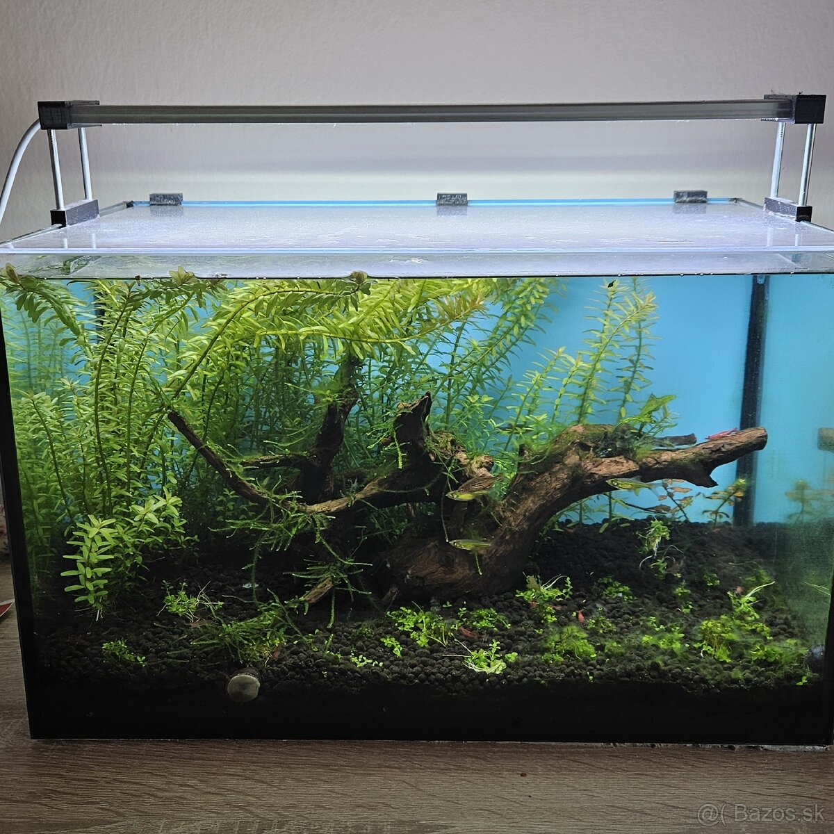 Akvarium 40x25x25cm