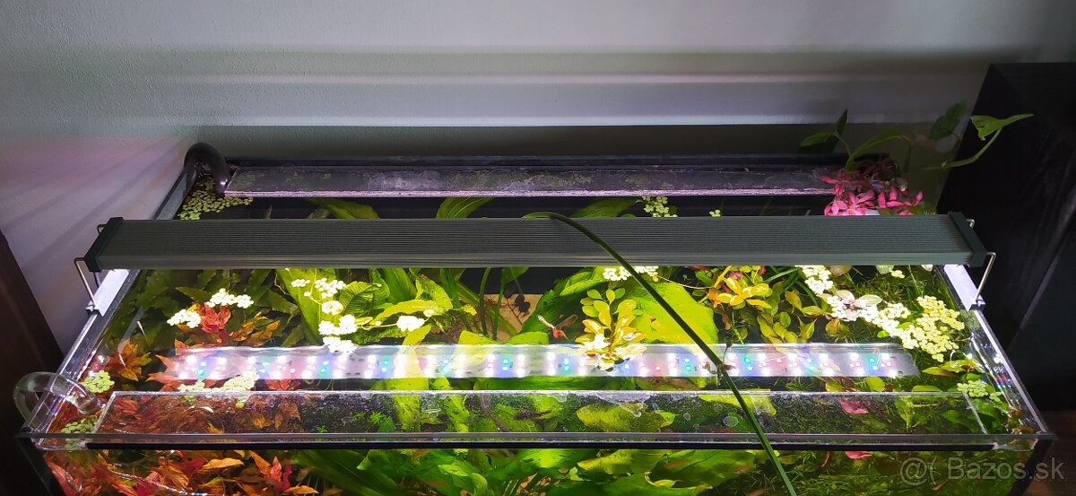 RGB-W LED Twinstar 80BII
