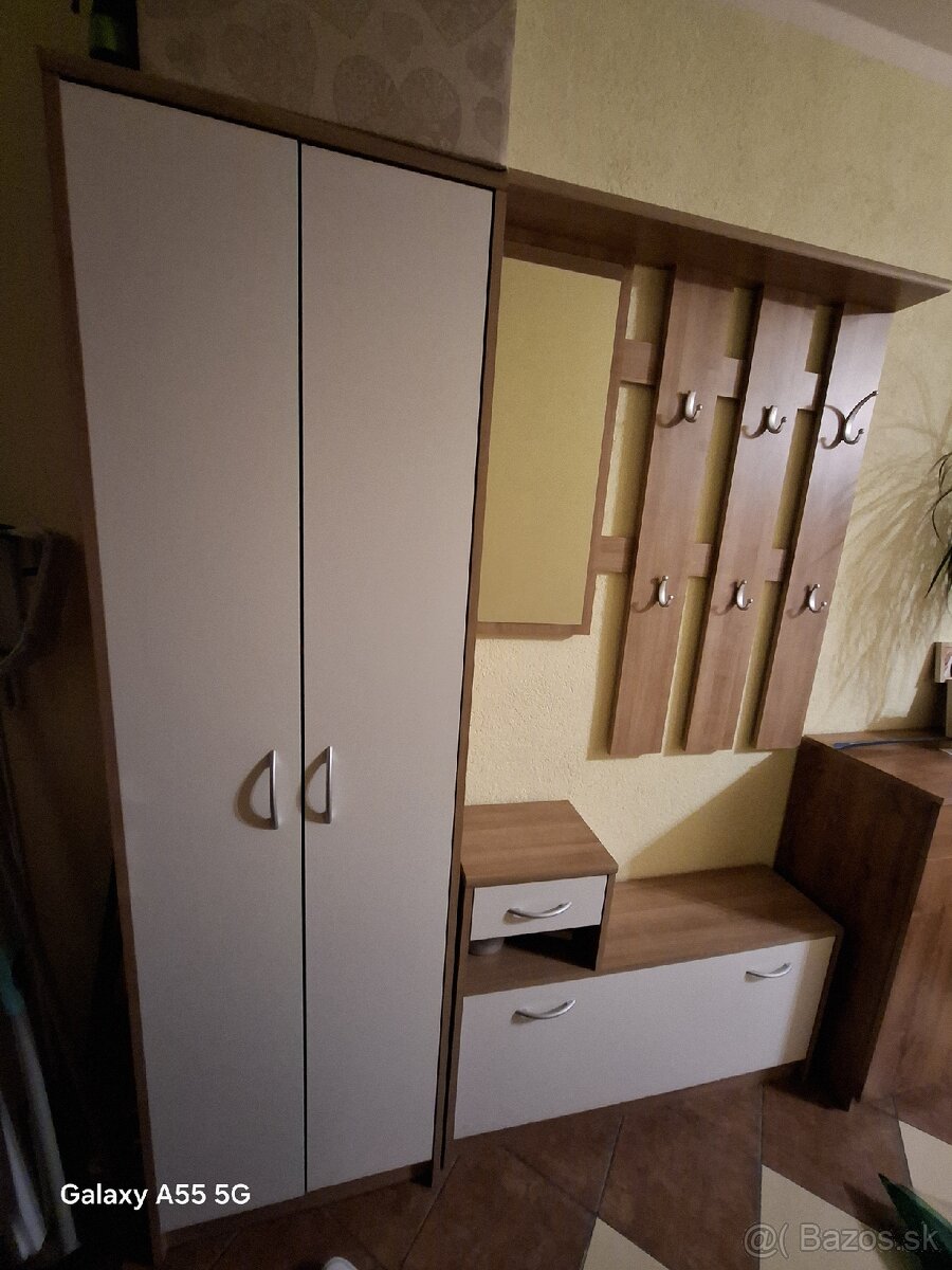 Predsieňová stena