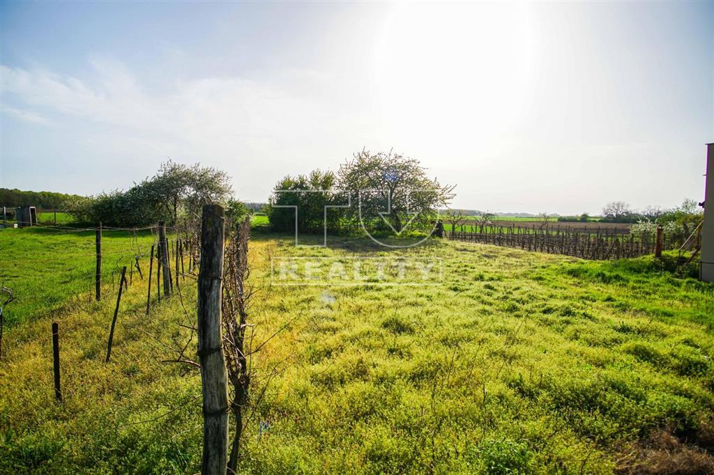 Na predaj záhrada, Svätý Peter, 1306 m2 – ideálna na...