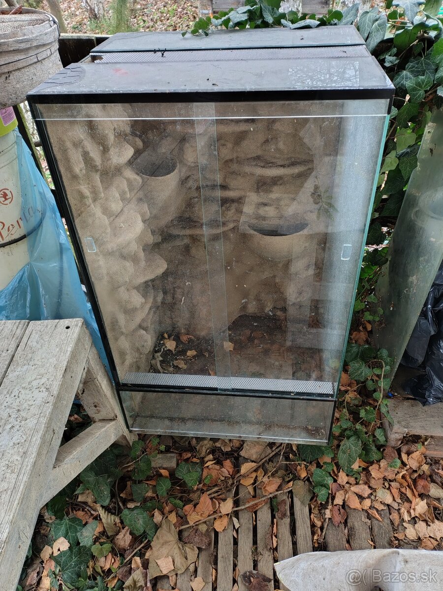 Terrarium