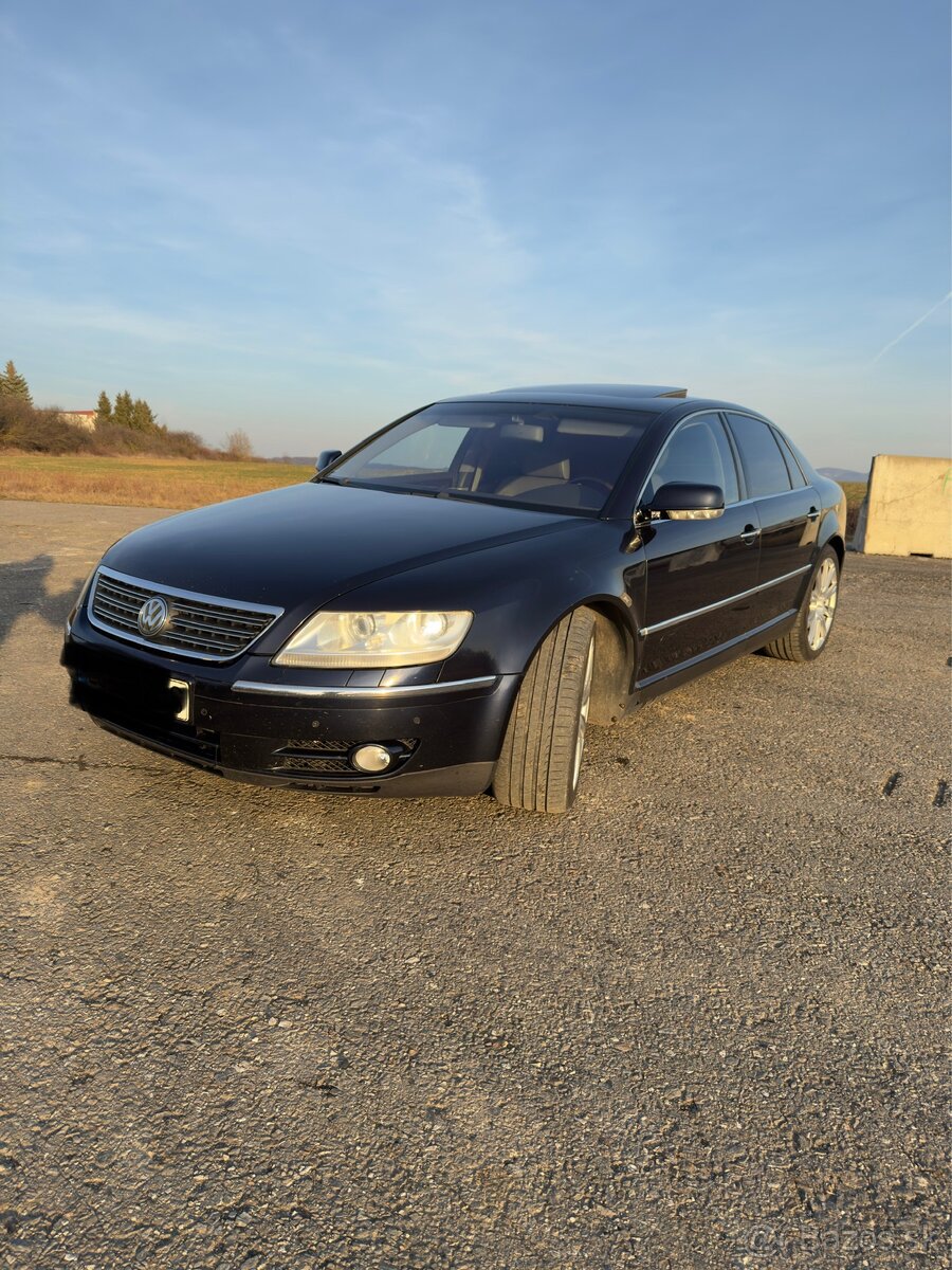 Predam phaeton