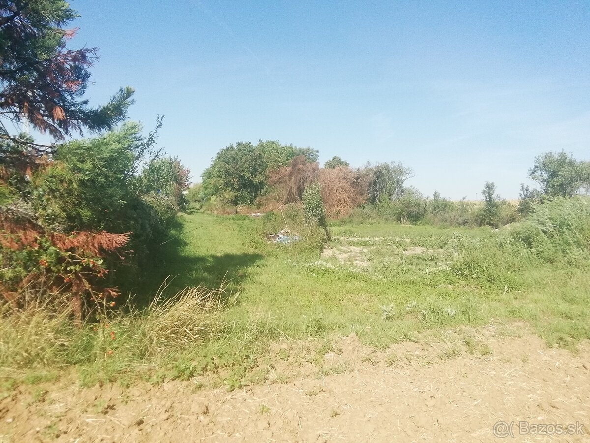 Stavebný pozemok Tesárske Mlyňany