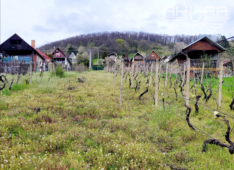 Na predaj pozemok (vinica) s chatkou, Vinianka 1430m2